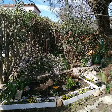 Maison Climatisee Dans Jardin Torreilles