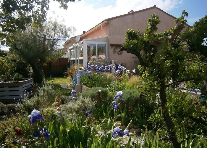 Maison Climatisée Dans Jardin